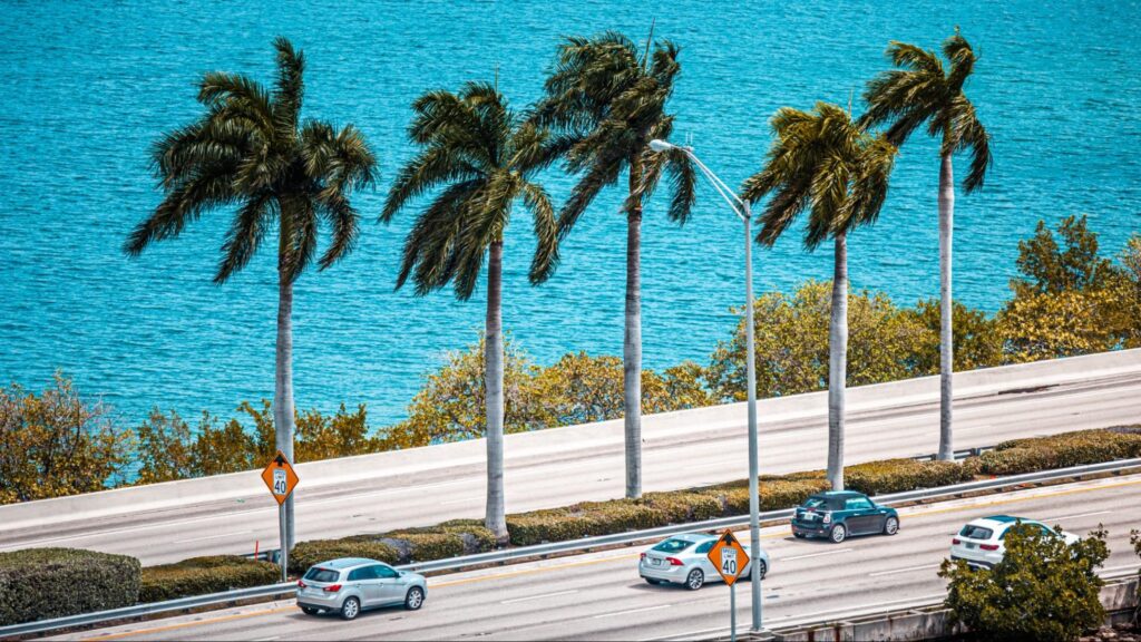 Cars driving along a coastal highway in Florida with palm trees and water, highlighting traffic and weather-related accident risks.